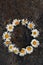 Circle frame created from white daisies on a background of gray stones