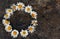 Circle frame created from white daisies on a background of gray stones