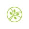 Circle geometric line leaf plant clear logo vector