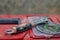 The circle for the grinder and the adjustable wrench are on the red tool box. Worker preparing for repair in the apartment