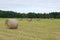 Circle hay bale in field farm agriculture rural landscape meadow straw