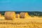 Circle of hay in the field, forest on the horizon