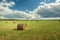 Circle of hay on the field, horizon and clouds on a blue sky