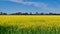 Circle Irrigator in a Field of Canola Near Mulwala