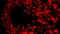 Circle of many colored red particles that flying into the sides on black background. Animation. Abstract ring formed by