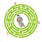 Circle maze. Game for kids. Puzzle for children. Round labyrinth conundrum. Quail bird. Color vector illustration. Find the right