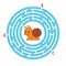Circle maze. Game for kids. Puzzle for children. Round labyrinth conundrum. Snail mollusk. Color vector illustration. Find the