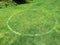 Circle painted in a grass field to mark 1,5 meter distance with regard tot Corona