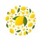 Circle pattern with yellow Lemons. Bright design for printing on plates. citrus