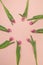 Circle of pink tulips on pale pink background