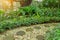 Circle shape of pattern walkway stepping sand stone on white gravel in a backyard garden of lush greenery plant, shurb and trees