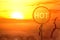 Circle signpost with hot text on the desert with dead trees and glowing sun background