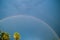 Circle spectrum Rainbow on the blue sky after rain over the Palm Trees Tropical