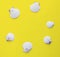 Circle of white seashells on yellow background