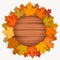Circle wood banner with autumn leaves