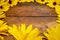 A Circle of yellow daisies on a wooden table
