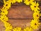 A Circle of yellow daisies on a wooden table