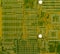 Circuit board green high technological background