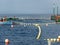 Circuit of buoys with fishing boat and several support boats