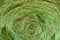 Circular Bale of Green Hay Abstract Background