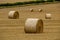 Circular bales of hay in a Dorset field, UK.