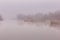 Circular bamboo fish traps on a misty river