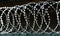 Circular barbed wire on a dark background