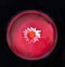 Circular beautiful abstract flower concept. A single white daisy floating on water. Covered with red acrylic paints against cloudy