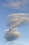 Circular clouds over the forest