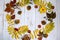 A circular composition of bright fall foliage on a light wooden background