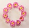 Circular floral frame of pink primrose flowers with space for text