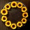 Circular frame of colorful sunflowers