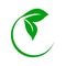 Circular Green Leaf Icon