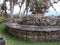 Circular house, trees and branches, Kuelap, Luya, Amazonas, Peru, South America