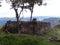 Circular house and trees, Kuelap, Luya, Amazonas, Peru, South America