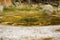 Circular orange hot spring in Yellowstone Park, Wyoming.