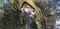 Circular panorama from composite aerial photos of a small typical German detached house on a forest plot, deliberately distorted