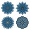 Circular patterns of blue star shaped flowers