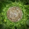 Circular Rock and Wall of Green Shrubs