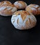 Circular-Shaped Sourdoughs Group