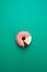 Circular statistical graphic made of doughnuts