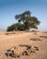 Circular stone patterns at the site of tree of life Bahrain