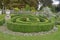 Circular topiary hedge