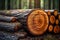 Circular wood piece raw material for furniture, lumber industry concept