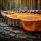 Circular wooden log essential for furniture industry, lumber concept