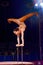 Circus Acrobat 6