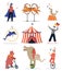 Circus animals. Funny trained animals. Show elements hoops, bollards and balls, circus tent, cartoon bear, elephant and