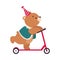 Circus Brown Bear Animal Riding Kick Scooter Performing Trick Vector Illustration