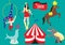 circus collection. Vector illustration decorative design