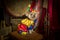 Circus Dog in clown costume